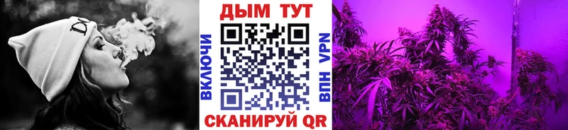 Бошки Шишки THC 21%  Купить закладки  Губкин 